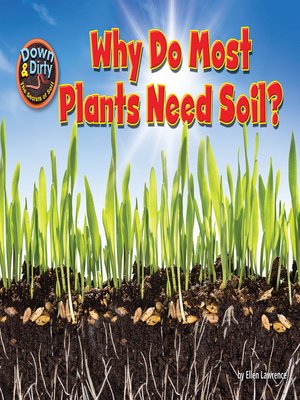 cover image of Why Do Most Plants Need Soil?